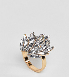 Броское кольцо с отделкой камнями ASOS CURVE - Золотой