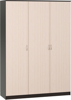 Распашной шкаф Лайт-3-150-210 