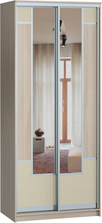 Шкаф купе Неаполь-12-100-220 Ясень Шимо 2 двери 
