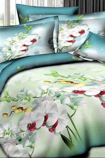 Постельное белье 2,0 сп. 50х70 Patrizia