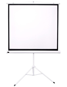 Экран Sakura Cinema 240x180cm TriScreen White SCPST-240x180