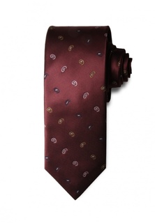 Галстук Stefano Danotelli