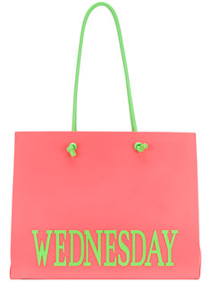 large Wednesday tote Alberta Ferretti