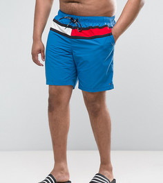 Синие шорты для плавания с флагом Tommy Hilfiger PLUS - Синий