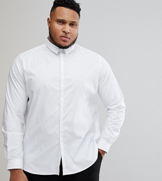 Приталенная рубашка со скрытой планкой Noak PLUS - Белый