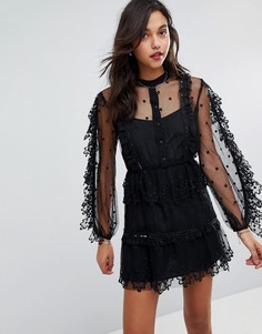 Кружевное платье мини с вышивкой Stevie May - Черный