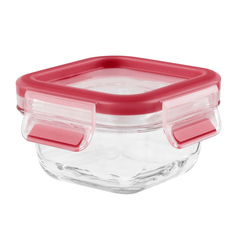 Контейнер для продуктов Tefal Masterseal Glass 0,2л (K3010112) Masterseal Glass 0,2л (K3010112)