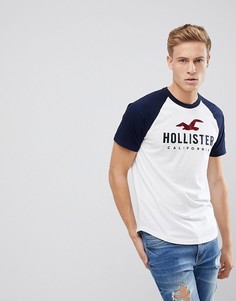 Бело-синяя бейсбольная футболка с рукавами реглан и логотипом Hollister - Белый