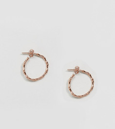 Серьги-кольца с покрытием из розового золота Kingsley Ryan - Золотой