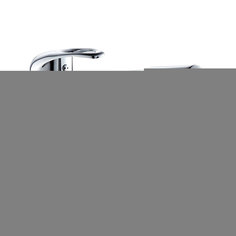 Смеситель Elghansa Kitchen Pure Water 5602623-New
