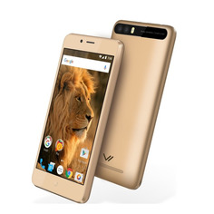 Сотовый телефон Vertex Impress Lion Dual Cam Gold