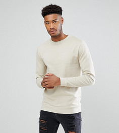 Бежевый свитшот ASOS TALL - Бежевый