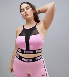 Фиолетовый спортивный бюстгальтер Puma Plus Active эксклюзивно для Asos - Фиолетовый