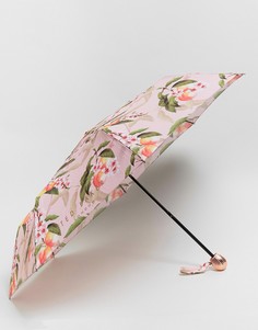 Компактный зонт с принтом Ted Baker - Мульти