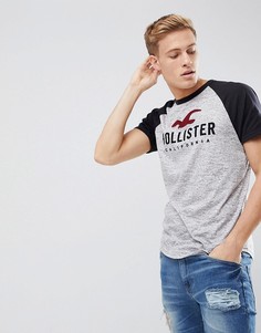 Серая бейсбольная футболка с рукавами реглан и логотипом Hollister - Серый