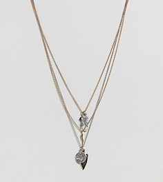 Ожерелья с подвеской Sacred Hawk - Мульти