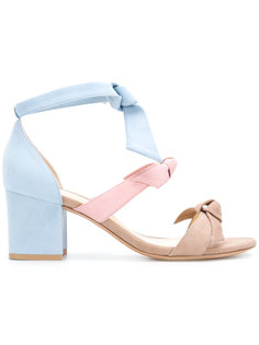 three toned bow strap sandals Alexandre Birman