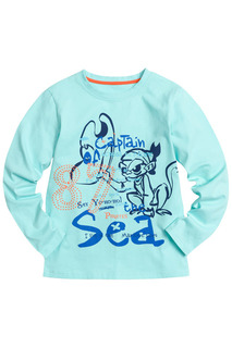 Джемпер Pelican