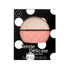 Румяна-хайлайтер `VIVIENNE SABO` TEINTE DELICATE тон 14 двойные