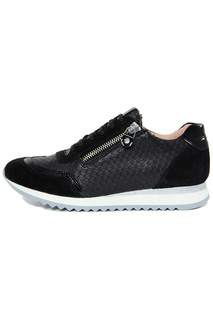 sneakers GIANNI GREGORI