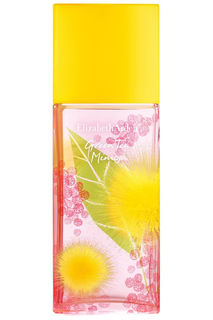 Туалетная вода 100 мл Elizabeth Arden