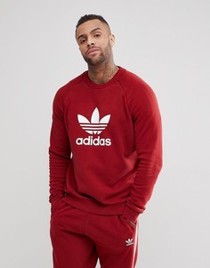 Бордовый свитшот с логотипом adidas Originals adicolor CX1897 - Красный