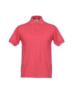 Поло Lacoste