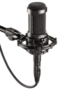 Микрофон Audio-Technica AT2035