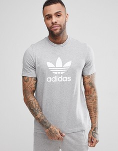 Серая футболка с логотипом-трилистником adidas Originals adicolor CY4574 - Серый