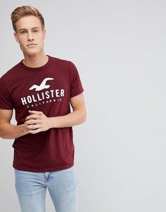 Бордовая футболка с крупным логотипом Hollister - Красный
