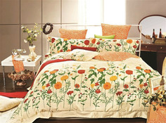 Постельное белье Valtery C-162 Комплект Евро Сатин