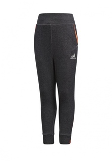 adidas LB LO CRO PANT