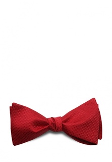 Бабочка Stefano Danotelli