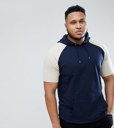 Сине-бежевый худи с короткими рукавами ASOS PLUS - Темно-синий