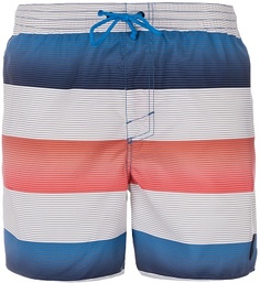 Шорты мужские ONeill Santa Cruz Stripe Oneill