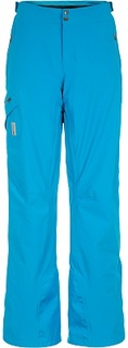 Брюки утепленные мужские Salomon Whitelight