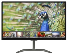 Монитор Philips 246E7QDAB (черно-серебристый)