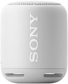 Портативная колонка Sony SRS-XB10 (серый)