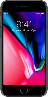 Мобильный телефон Apple iPhone 8 256GB (серый космос)