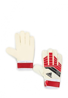 Перчатки вратарские adidas PRE TRAINING