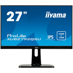 Монитор Iiyama