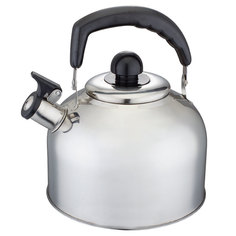 Чайник Чайник Webber BE-0561 5L