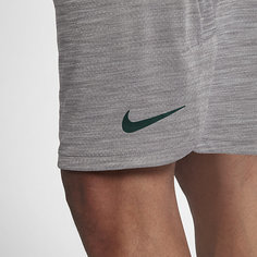 Мужские шорты для тренинга Nike Dri-FIT 23 см