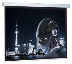 Экран CACTUS Wallscreen CS-PSW-128x170, 170.7х128 см, 4:3, настенно-потолочный белый