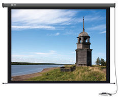 Экран CACTUS Professional Motoscreen CS-PSPM-152X203, 203х152 см, 4:3, настенно-потолочный