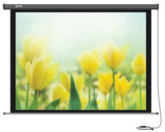 Экран CACTUS Professional Motoscreen CS-PSPM-183x244, 244х183 см, 4:3, настенно-потолочный