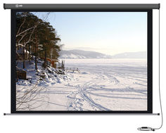 Экран CACTUS Professional Motoscreen CS-PSPM-206x274, 274х206 см, 4:3, настенно-потолочный