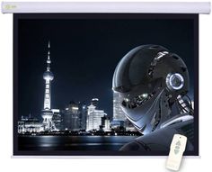 Экран CACTUS Professional Motoscreen CS-PSPM-124x221, 221х124.5 см, 16:9, настенно-потолочный