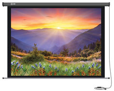 Экран CACTUS Professional Motoscreen CS-PSPM-149x265, 265х149 см, 16:9, настенно-потолочный