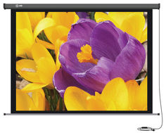Экран CACTUS Professional Motoscreen CS-PSPM-168x299, 299х168 см, 16:9, настенно-потолочный